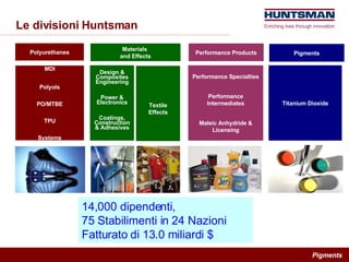 Le divisioni Huntsman Polyurethanes MDI Polyols PO/MTBE TPU Systems Materials  and Effects Design & Composites Engineering Power & Electronics Coatings, Construction & Adhesives Pigments Titanium Dioxide Performance Products Performance Specialties Performance Intermediates Maleic Anhydride & Licensing Textile Effects 14,000 dipendenti,  75 Stabilimenti in 24 Nazioni Fatturato di 13.0 miliardi $ 