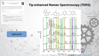 Tip enhanced raman spectroscopy | PDF