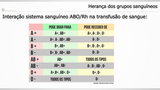 Heran a Dos Grupos Sangu neos Hereditariedade PDF heran-a-dos-grupos-sangu-neos-hereditariedade-pdf