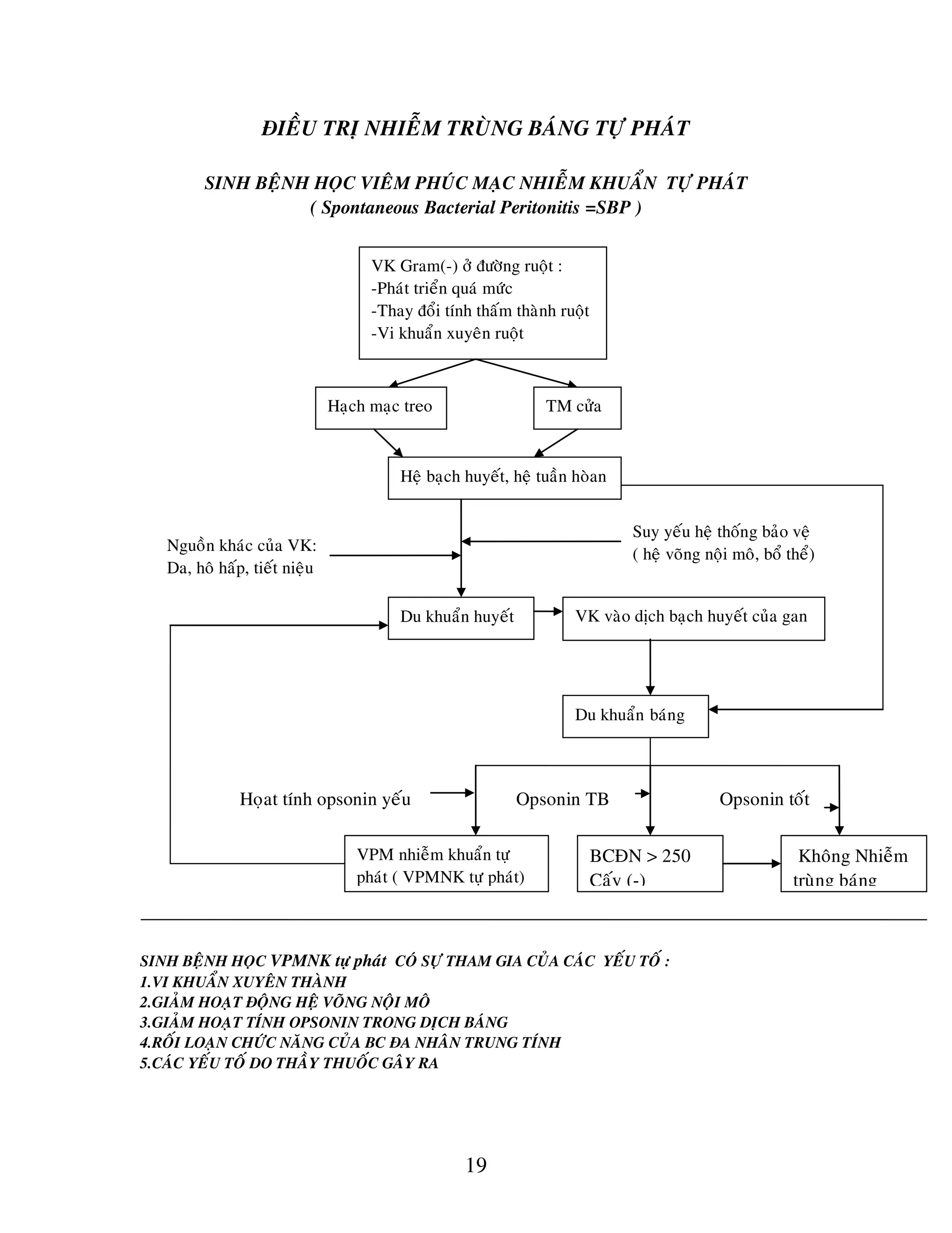 19
ÑIEÀU TRÒ NHIEÃM TRUØNG BAÙNG TÖÏ PHAÙT
SINH BEÄNH HOÏC VIEÂM PHUÙC MAÏC NHIEÃM KHUAÅN TÖÏ PHAÙT
( Spontaneous Bacterial Peritonitis =SBP )
SINH BEÄNH HOÏC VPMNK töï phaùt COÙ SÖÏ THAM GIA CUÛA CAÙC YEÁU TOÁ :
1.VI KHUAÅN XUYEÂN THAØNH
2.GIAÛM HOAÏT ÑOÄNG HEÄ VOÕNG NOÄI MOÂ
3.GIAÛM HOAÏT TÍNH OPSONIN TRONG DÒCH BAÙNG
4.ROÁI LOAÏN CHÖÙC NAÊNG CUÛA BC ÑA NHAÂN TRUNG TÍNH
5.CAÙC YEÁU TOÁ DO THAÀY THUOÁC GAÂY RA
VK Gram(-) ôû ñöôøng ruoät :
-Phaùt trieån quaù möùc
-Thay ñoåi tính thaám thaønh ruoät
-Vi khuaån xuyeân ruoät
Haïch maïc treo TM cöûa
Heä baïch huyeát, heä tuaàn hoøan
Nguoàn khaùc cuûa VK:
Da, hoâ haáp, tieát nieäu
Du khuaån huyeát VK vaøo dòch baïch huyeát cuûa gan
Du khuaån baùng
VPM nhieãm khuaån töï
phaùt ( VPMNK töï phaùt)
Suy yeáu heä thoáng baûo veä
( heä voõng noäi moâ, boå theå)
Hoïat tính opsonin yeáu
BCÑN > 250
Caáy (-)
Khoâng Nhieãm
truøng baùng
Opsonin TB Opsonin toát
 