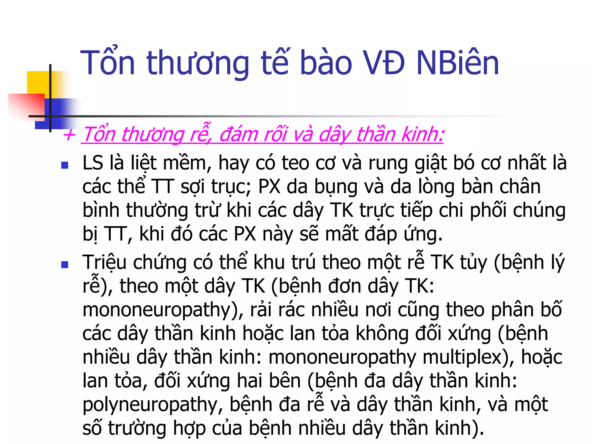 Tổn thƣơng tế bào VĐ NBiên
+ Tổn thƣơng rễ, đám rối và dây thần kinh:
 LS là liệt mềm, hay có teo cơ và rung giật bó cơ nhất là
các thể TT sợi trục; PX da bụng và da lòng bàn chân
bình thƣờng trừ khi các dây TK trực tiếp chi phối chúng
bị TT, khi đó các PX này sẽ mất đáp ứng.
 Triệu chứng có thể khu trú theo một rễ TK tủy (bệnh lý
rễ), theo một dây TK (bệnh đơn dây TK:
mononeuropathy), rải rác nhiều nơi cũng theo phân bố
các dây thần kinh hoặc lan tỏa không đối xứng (bệnh
nhiều dây thần kinh: mononeuropathy multiplex), hoặc
lan tỏa, đối xứng hai bên (bệnh đa dây thần kinh:
polyneuropathy, bệnh đa rễ và dây thần kinh, và một
số trƣờng hợp của bệnh nhiều dây thần kinh).
 
