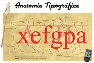 Anatomia Tipográfica
