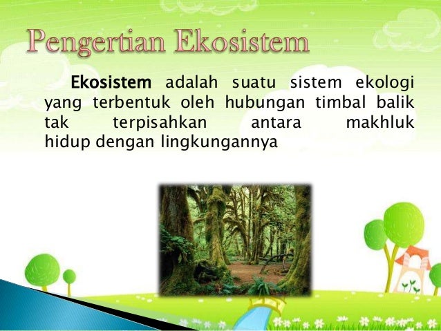 Tipe Tipe Ekosistem