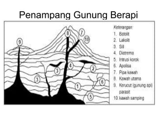 Penampang Gunung Berapi
 