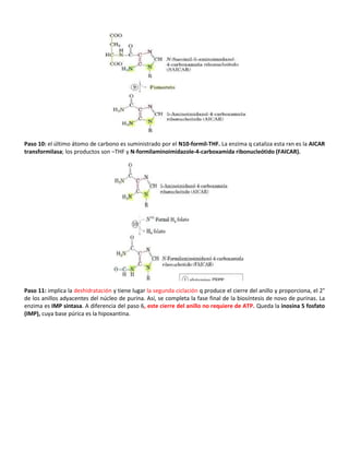 Paso 10: el último átomo de carbono es suministrado por el N10-formil-THF. La enzima q cataliza esta rxn es la AICAR
transformilasa; los productos son –THF y N-formilaminoimidazole-4-carboxamida ribonucleótido (FAICAR).
Paso 11: implica la deshidratación y tiene lugar la segunda ciclación q produce el cierre del anillo y proporciona, el 2°
de los anillos adyacentes del núcleo de purina. Así, se completa la fase final de la biosíntesis de novo de purinas. La
enzima es IMP sintasa. A diferencia del paso 6, este cierre del anillo no requiere de ATP. Queda la inosina 5 fosfato
(IMP), cuya base púrica es la hipoxantina.
 