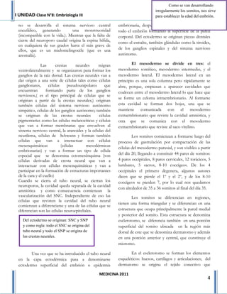 Como se van desarrollando
                                                                                  irregularmente los somitos, nos sirve
I UNIDAD Clase N°8: Embriología III                                                Miércoles 6 de Abril de 2011
                                                                                  para establecer la edad del embrión.

 no se desarrolla el sistema nervioso central               embrionaria, después empieza a proliferar y cierra
 encefálico, generando          una monstruosidad           todo el embrión formando la superficie de la pared
 (incompatible con la vida.). Mientras que la falta de      corporal. Del ectodermo se originan piezas dentales
 cierre del neuroporo caudal origina la espina bífida,      como el esmalte, también glándulas como la tiroides,
 en cualquiera de sus grados hasta el más grave de
 ellos, que es un mielomelingocéle (que es una              de los ganglios espinales y del sistema nervioso
 anomalía).                                                 autónomo.

               Las       crestas     neurales     migran            El mesodermo se divide en tres: el
 ventrolateralmente y se organizaron para formar los        mesodermo somítico, mesodermo intermedio, y el
 ganglios de la raíz dorsal. Las crestas neurales van a     mesodermo lateral. El mesodermo lateral en un
 dar origen a una serie de células tales como células       principio es una sola columna pero rápidamente se
 ganglionares,      células      pseudounipolares    que    abre, porque, empiezan a aparecer cavidades que
 encuentran        formando parte de los ganglios           coalecen entre el mesodermo lateral lo que hace que
 nerviosos,( es el tipo principal de células que se
                                                            se forme un celoma intraembrionario. Al formarse
 originan a partir de la crestas neurales;) originan
 también células del sistema nervioso autónomo              esta cavidad se forman dos hojas, una que se
 simpático, células de los ganglios autónomo; también       mantiene comunicada con el mesodermo
 se originan de las crestas neurales              células   extraembrionario que reviste la cavidad amniótica, y
 pigmentarias como las células melanocíticas y células      otra que se comunica con el mesodermo
 que van a formar membranas que envuelven al                extraembrionario que reviste al saco vitelino.
 sistema nervioso central, la aranoides y la células del
 neurilema, células de Schwann y forman también                     Los somitos comienzan a formarse luego del
 células que van a interactuar con células                  proceso de gastrulación por compactación de las
 mesenquimáticas            (células       mesodérmicas     células del mesodermo paraxial, y son visibles a partir
 embrionarias) y van a formar un tipo de célula
 especial que se denomina ectomesénquima (son               del día 20, llegando a constituir 44 pares de somitos:
 células derivadas de cresta neural que van a               4 pares occipitales, 8 pares cervicales, 12 torácicos, 5
 interactuar con células mesenquimáticas y van a            lumbares, 5 sacros, 8-10 coccígeos. De los 4
 participar en la formación de estructuras importantes      occipitales el primero degenera, algunos autores
 de la cara y el cuello)                                    dicen que se pierde el 1º y el 2º, y de los 8-10
 Cuando se cierra el tubo neural, se cierran los            coccígeos se pierden 7, por lo cual nos quedamos
 neuroporos, la cavidad queda separada de la cavidad
                                                            con alrededor de 35 a 36 somitos al final del día 35.
 amniótica y como consecuencia comienzan la
 vascularización del SNC. Independiente de eso las                  Los somitos se diferencian en regiones,
 células que revisten la cavidad del tubo neural
                                                            tienen una forma triangular y se diferencian en una
 comienzan a diferenciarse y una de las células que se
 diferencian son las células neuroepiteliales.              estructura que ocupa principalmente la pared medial
                                                            y posterior del somito. Esta estructura se denomina
    Del ectodermo se originan: SNC y SNP                    esclerotomo, se diferencia también en una porción
    y como regla: todo el SNC se origina del                superficial del somito ubicada en la región más
    tubo neural y todo el SNP se origina de                 dorsal de este que se denomina dermatomo y además
    las crestas neurales.                                   en una porción anterior y central, que constituye el
                                                            miotomo.

        Una vez que se ha introducido el tubo neural               En el esclerotomo se forman los elementos
 en la capa ectodérmica pasa a denominarse                  esqueléticos: huesos, cartílagos y articulaciones; del
 ectodermo superficial del embrión o epidermis              dermatomo se origina el tejido conectivo que

                                                  MEDICINA 2011
                                                                                                                  4
 