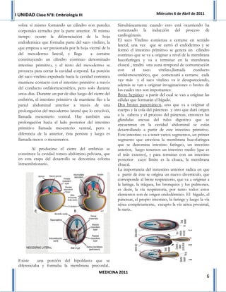I UNIDAD Clase N°8: Embriología III                                              Miércoles 6 de Abril de 2011

 sobre sí mismo formando un cilindro con paredes          Simultáneamente cuando esto está ocurriendo ha
 corporales cerradas por la parte anterior. Al mismo      comenzado la inducción del proceso de
 tiempo ocurre la diferenciación de la hoja               cardiogénesis.
                                                          El saco Vitelino comienza a cerrarse en sentido
 endodermica que formaba parte del saco vitelino, la
                                                          lateral, una vez que se cerró el endodermo y se
 que empeza a ser presionada por la hoja viceral de la    formó el intestino primitivo se genera un cilindro
 del mesodermo lateral, y llega             a cerrarse    continuo que se va a originar a nivel de la membrana
 constituyendo un cilindro continuo denominado            bucofaríngea y va a terminar en la membrana
 intestino primitivo, y el resto del mesodermo se         cloacal , tendrá una zona temporal de comunicación
 proyecta para cerrar la cavidad corporal. La porción     con       el     saco     vitelino,llamada    conducto
 del saco vitelino expulsada hacia la cavidad coriónica   onfalomesentérico, que comenzará a cerrarse cada
                                                          vez más y el saco vitelino va ir desapareciendo,
 mantiene contacto con el intestino primitivo a través
                                                          además se van a originar invaginaciones o brotes de
 del conducto onfalomesentérico, pero solo durante        los cuales tres son importantes:
 unos días. Durante un par de días luego del cierre del   Brote hepático: a partir del cual se van a originar las
 embrión, el intestino primitivo de mantiene fijo a la    células que formarán el hígado.
 pared abdominal anterior a través de una                 Dos brotes pancreáticos, uno que va a originar el
 prolongación del mesodermo lateral que lo envolvió,      cuerpo y la cola del páncreas y otro que dará origen
 llamada mesenterio ventral. Hay también una              a la cabeza y el proceso del páncreas, entonces las
                                                          glándulas anexas del tubo digestivo que se
 prolongación hacia el lado posterior del intestino
                                                          encuentran en la cavidad abdominal se están
 primitivo llamada mesenterio ventral, pero a             desarrollando a partir de este intestino primitivo.
 diferencia de la anterior, ésta persiste y luego es      Este intestino va a tener varios segmentos, un primer
 llamada mesos o mesenterios.                             segmento que atraviesa la membrana bucofaríngea
                                                          que se denomina intestino faríngeo, un intestino
         Al producirse el cierre del embrión se           anterior, luego tenemos un intestino medio (que es
 constituye la cavidad toraco-abdómino-pelviana, que      el más extenso), y para terminar con un intestino
 en esta etapa del desarrollo se denomina celoma          posterior cuyo límite es la cloaca, la membrana
 intraembrionario.                                        cloacal.
                                                          La importancia del instestino anterior radica en que
                                                          a partir de éste se origina un nuevo divertículo, que
                                                          corresponde al brote respiratorio, que va a originar a
                                                          la laringe, la tráquea, los bronquios y los pulmones,
                                                          es decir, la vía respiratoria, por tanto todos estos
                                                          elementos son de origen endodérmico. El hígado, el
                                                          páncreas, el propio intestino, la faringe y luego la vía
                                                          aérea completamente, excepto la vía aérea proximal,
                                                          la nariz.




 Existe     una porción del hipoblasto que se
 diferenciaba y formaba la membrana precordal..
                                                MEDICINA 2011
                                                                                                                6
 