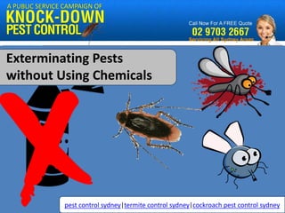A PUBLIC SERVICE CAMPAIGN OF




Exterminating Pests 
without Using Chemicals




                pest control sydney|termite control sydney|cockroach pest control sydney
 