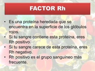 FACTOR Rh
• Es una proteína heredada que se
encuentra en la superficie de los glóbulos
rojos.
• Si tu sangre contiene esta proteína, eres
Rh positivo.
• Si tu sangre carece de esta proteína, eres
Rh negativo.
• Rh positivo es el grupo sanguíneo más
frecuente.
 