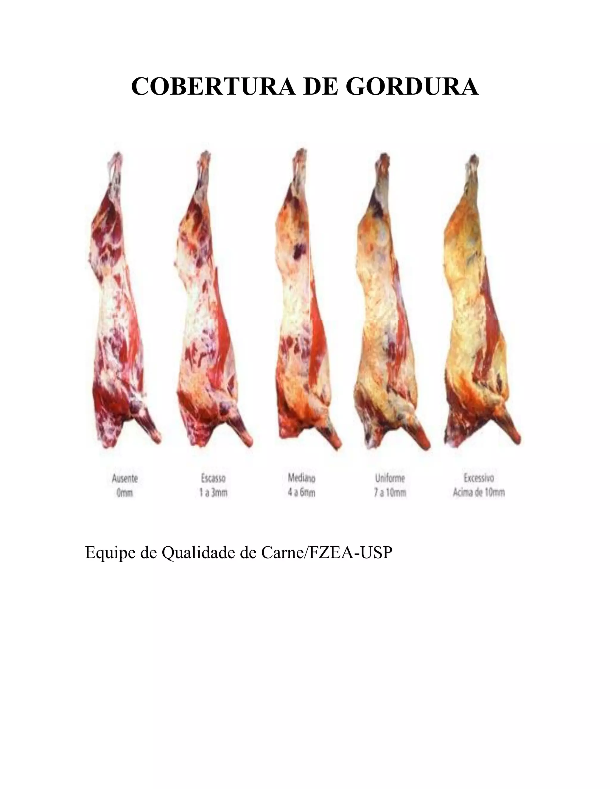 COBERTURA DE GORDURA
Equipe de Qualidade de Carne/FZEA-USP
 
