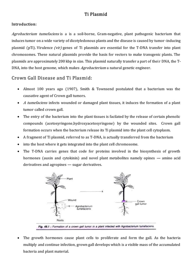 Ti plasmid PDF