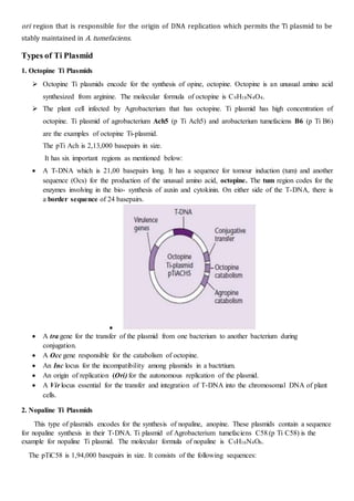 ori region that is responsible for the origin of DNA replication which permits the Ti plasmid to be
stably maintained in A. tumefaciens.
Types of Ti Plasmid
1. Octopine Ti Plasmids
 Octopine Ti plasmids encode for the synthesis of opine, octopine. Octopine is an unusual amino acid
synthesized from arginine. The molecular formula of octopine is C9H18N4O4.
 The plant cell infected by Agrobacterium that has octopine. Ti plasmid has high concentration of
octopine. Ti plasmid of agrobacterium Ach5 (p Ti Ach5) and arobacterium tumefaciens B6 (p Ti B6)
are the examples of octopine Ti-plasmid.
The pTi Ach is 2,13,000 basepairs in size.
It has six important regions as mentioned below:
 A T-DNA which is 21,00 basepairs long. It has a sequence for tomour induction (tum) and another
sequence (Ocs) for the production of the unusual amino acid, octopine. The tum region codes for the
enzymes involving in the bio- synthesis of auxin and cytokinin. On either side of the T-DNA, there is
a border sequence of 24 basepairs.

 A tra gene for the transfer of the plasmid from one bacterium to another bacterium during
conjugation.
 A Occ gene responsible for the catabolism of octopine.
 An Inc locus for the incompatibility among plasmids in a bactrtium.
 An origin of replication (Ori) for the autonomous replication of the plasmid.
 A Vir locus essential for the transfer and integration of T-DNA into the chromosomal DNA of plant
cells.
2. Nopaline Ti Plasmids
This type of plasmids encodes for the synthesis of nopaline, anopine. These plasmids contain a sequence
for nopaline synthesis in their T-DNA. Ti plasmid of Agrobacterium tumefaciens C58 (p Ti C58) is the
example for nopaline Ti plasmid. The molecular formula of nopaline is C9H16N4O6.
The pTiC58 is 1,94,000 basepairs in size. It consists of the following sequences:
 