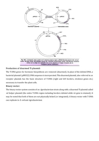 Production of disarmed Ti plasmid:
The T-DNA genes for hormone biosynthesis are removed (disarmed). In place of the deleted DNA, a
bacterial plasmid (pBR322) DNA sequence is incorporated. This disarmed plasmid, also referred to as
receptor plasmid, has the basic structure of T-DNA (right and left borders, virulence genes etc.)
necessary to transfer the plant cells.
Binary vector:
The binary vector system consists of an Agrobacterium strain along with a disarmed Ti plasmid called
vir helper plasmid (the entire T-DNA region including borders deleted while vir gene is retained). It
may be noted that both of them are not physically linked (or integrated). A binary vector with T-DNA
can replicate in E. coli and Agrobacterium.
 