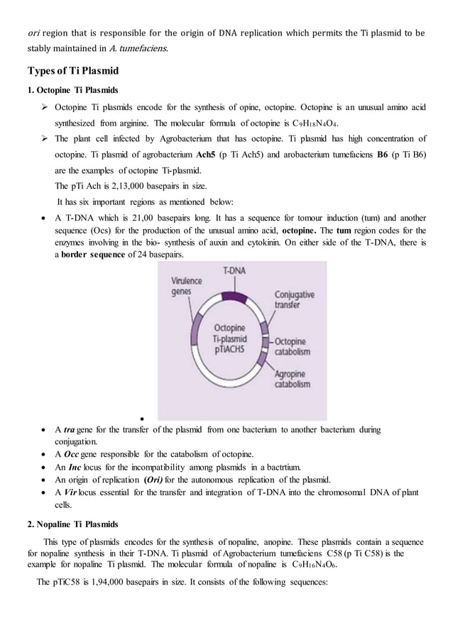 Ti plasmid PDF