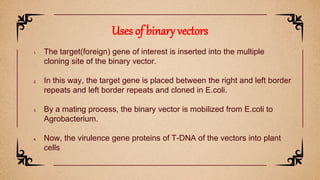 1. The target(foreign) gene of interest is inserted into the multiple
cloning site of the binary vector.
2. In this way, the target gene is placed between the right and left border
repeats and left border repeats and cloned in E.coli.
3. By a mating process, the binary vector is mobilized from E.coli to
Agrobacterium.
4. Now, the virulence gene proteins of T-DNA of the vectors into plant
cells.
Uses of binary vectors
 
