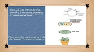 CRÉDITOS: Esta plantilla de presentación fue
creada por Slidesgo, que incluye iconos de Flaticon,
infografías e imágenes de Freepik e ilustraciones de
Storyset
 
