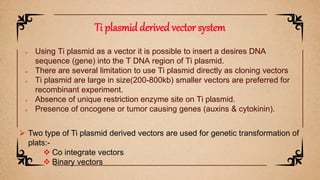  Using Ti plasmid as a vector it is possible to insert a desires DNA
sequence (gene) into the T DNA region of Ti plasmid.
 There are several limitation to use Ti plasmid directly as cloning vectors
 Ti plasmid are large in size(200-800kb) smaller vectors are preferred for
recombinant experiment.
 Absence of unique restriction enzyme site on Ti plasmid.
 Presence of oncogene or tumor causing genes (auxins & cytokinin).
Ti plasmid derived vector system
 Two type of Ti plasmid derived vectors are used for genetic transformation of
plats:-
 Co integrate vectors
 Binary vectors
 