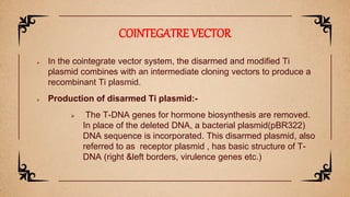  In the cointegrate vector system, the disarmed and modified Ti
plasmid combines with an intermediate cloning vectors to produce a
recombinant Ti plasmid.
 Production of disarmed Ti plasmid:-
 The T-DNA genes for hormone biosynthesis are removed.
In place of the deleted DNA, a bacterial plasmid(pBR322)
DNA sequence is incorporated. This disarmed plasmid, also
referred to as receptor plasmid , has basic structure of T-
DNA (right &left borders, virulence genes etc.)
COINTEGATRE VECTOR
 