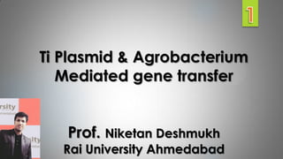 Ti Plasmid & Agrobacterium
Mediated gene transfer
Prof. Niketan Deshmukh
Rai University Ahmedabad
 