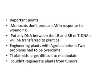 • Important points:
• Monocots don't produce AS in response to
wounding.
• Put any DNA between the LB and RB of T-DNA it
will be transferred to plant cell.
• Engineering plants with Agrobacterium: Two
problems had to be overcome:
• Ti plasmids large, difficult to manipulate
• couldn't regenerate plants from tumors
 
