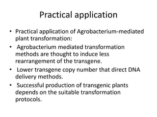 Practical application
• Practical application of Agrobacterium-mediated
plant transformation:
• Agrobacterium mediated transformation
methods are thought to induce less
rearrangement of the transgene.
• Lower transgene copy number that direct DNA
delivery methods.
• Successful production of transgenic plants
depends on the suitable transformation
protocols.
 
