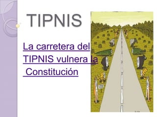 TIPNIS La carretera del  TIPNIS vulnera la Constitución 
