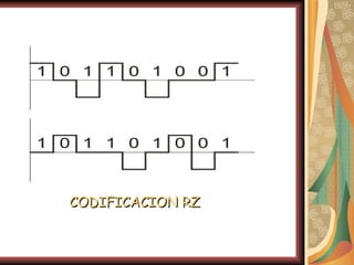 CODIFICACION RZ
 
