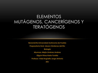 ELEMENTOS
MUTÁGENOS, CANCERÍGENOS Y
      TERATÓGENOS


     Benemérita Universidad Autónoma de Puebla
      Preparatoria Gral. Lázaro Cárdenas del Río
                       Biología
           Alumnas: Mejía Jiménez Andrea
              Olguín Pérez Karla Yuridia
        Profesor: Vidal Argüello Jorge Antonio
                         2Dv
 