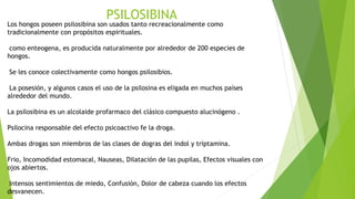 PSILOSIBINA
Los hongos poseen psilosibina son usados tanto recreacionalmente como
tradicionalmente con propósitos espirituales.
como enteogena, es producida naturalmente por alrededor de 200 especies de
hongos.
Se les conoce colectivamente como hongos psilosibios.
La posesión, y algunos casos el uso de la psilosina es eligada en muchos países
alrededor del mundo.
La psilosibina es un alcolaide profarmaco del clásico compuesto alucinógeno .
Psilocina responsable del efecto psicoactivo fe la droga.
Ambas drogas son miembros de las clases de dogras del indol y triptamina.
Frio, Incomodidad estomacal, Nauseas, Dilatación de las pupilas, Efectos visuales con
ojos abiertos.
Intensos sentimientos de miedo, Confusión, Dolor de cabeza cuando los efectos
desvanecen.
 