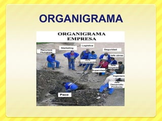 ORGANIGRAMA
 