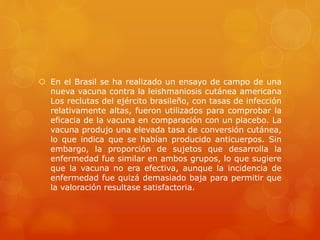  En el Brasil se ha realizado un ensayo de campo de una 
nueva vacuna contra la leishmaniosis cutánea americana 
Los reclutas del ejército brasileño, con tasas de infección 
relativamente altas, fueron utilizados para comprobar la 
eficacia de la vacuna en comparación con un placebo. La 
vacuna produjo una elevada tasa de conversión cutánea, 
lo que indica que se habían producido anticuerpos. Sin 
embargo, la proporción de sujetos que desarrolla la 
enfermedad fue similar en ambos grupos, lo que sugiere 
que la vacuna no era efectiva, aunque la incidencia de 
enfermedad fue quizá demasiado baja para permitir que 
la valoración resultase satisfactoria. 
 