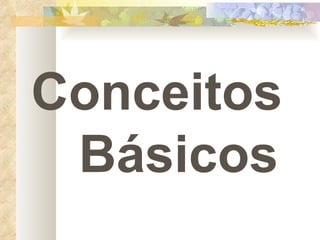 Conceitos  Básicos 