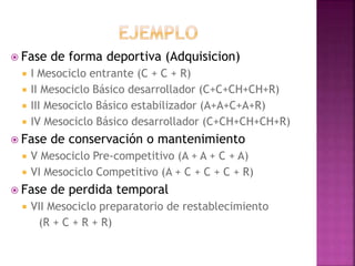  Fase de forma deportiva (Adquisicion)
 I Mesociclo entrante (C + C + R)
 II Mesociclo Básico desarrollador (C+C+CH+CH+R)
 III Mesociclo Básico estabilizador (A+A+C+A+R)
 IV Mesociclo Básico desarrollador (C+CH+CH+CH+R)
 Fase de conservación o mantenimiento
 V Mesociclo Pre-competitivo (A + A + C + A)
 VI Mesociclo Competitivo (A + C + C + C + R)
 Fase de perdida temporal
 VII Mesociclo preparatorio de restablecimiento
(R + C + R + R)
 