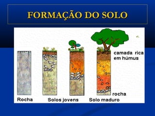 FORMAÇÃO DO SOLOFORMAÇÃO DO SOLO
 