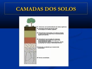 CAMADAS DOS SOLOSCAMADAS DOS SOLOS
 