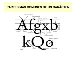 PARTES MÁS COMUNES DE UN CARÁCTER
 