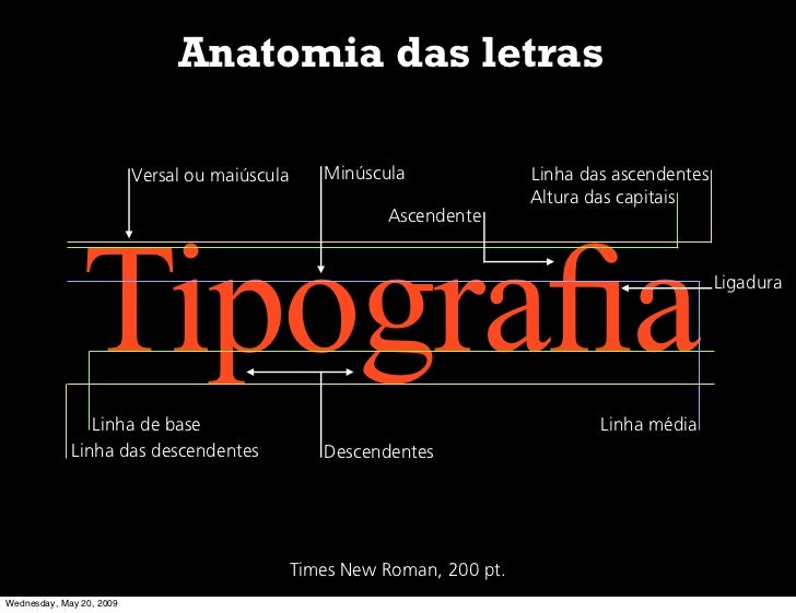 Noções básicas de anatomia