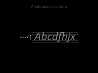 Anatomía de la letra 