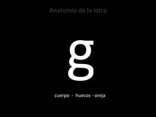 Anatomía de la letra g cuerpo  -  huecos - oreja 