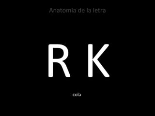 Anatomía de la letra R K cola 