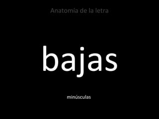 Anatomía de la letra bajas minúsculas 