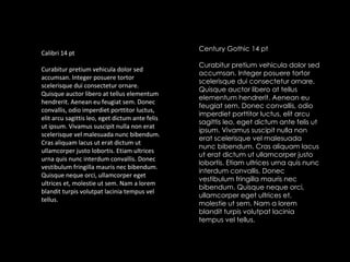 Calibri 14 pt Curabitur pretium vehicula dolor sed accumsan. Integer posuere tortor scelerisque dui consectetur ornare. Quisque auctor libero at tellus elementum hendrerit. Aenean eu feugiat sem. Donec convallis, odio imperdiet porttitor luctus, elit arcu sagittis leo, eget dictum ante felis ut ipsum. Vivamus suscipit nulla non erat scelerisque vel malesuada nunc bibendum. Cras aliquam lacus ut erat dictum ut ullamcorper justo lobortis. Etiam ultrices urna quis nunc interdum convallis. Donec vestibulum fringilla mauris nec bibendum. Quisque neque orci, ullamcorper eget ultrices et, molestie ut sem. Nam a lorem blandit turpis volutpat lacinia tempus vel tellus. Century Gothic 14 pt Curabitur pretium vehicula dolor sed accumsan. Integer posuere tortor scelerisque dui consectetur ornare. Quisque auctor libero at tellus elementum hendrerit. Aenean eu feugiat sem. Donec convallis, odio imperdiet porttitor luctus, elit arcu sagittis leo, eget dictum ante felis ut ipsum. Vivamus suscipit nulla non erat scelerisque vel malesuada nunc bibendum. Cras aliquam lacus ut erat dictum ut ullamcorper justo lobortis. Etiam ultrices urna quis nunc interdum convallis. Donec vestibulum fringilla mauris nec bibendum. Quisque neque orci, ullamcorper eget ultrices et, molestie ut sem. Nam a lorem blandit turpis volutpat lacinia tempus vel tellus. 