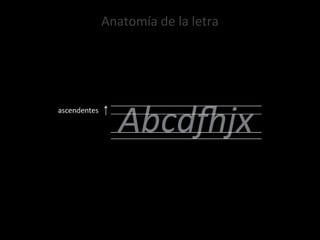 Anatomía de la letra 