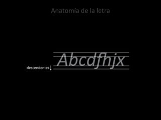 Anatomía de la letra 
