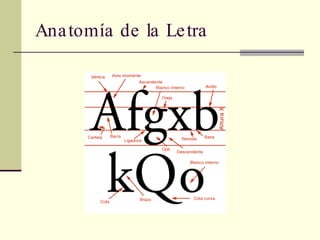 Anatomía de la Letra 
