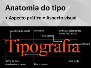 Anatomia do tipo• Aspecto prático • Aspecto visual