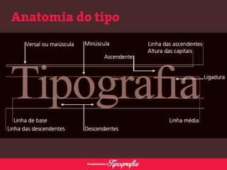 Anatomia do tipo 
 
