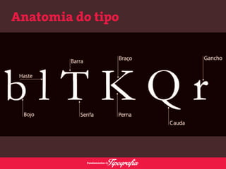 Anatomia do tipo 
 