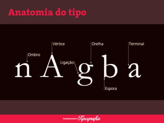 Anatomia do tipo 
 