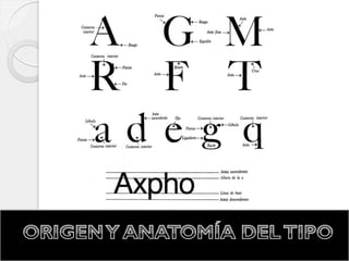 Tipografia origen y anatomía del tipo